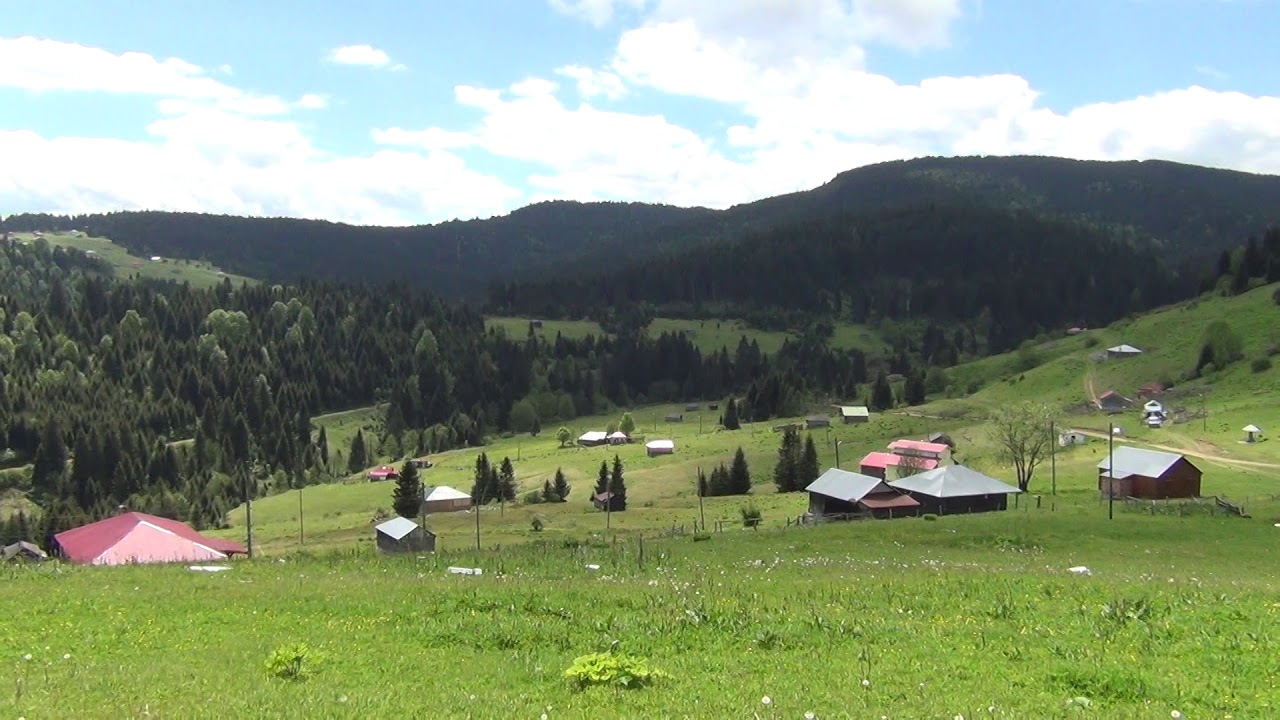 Hadi yaylaya çıkalım